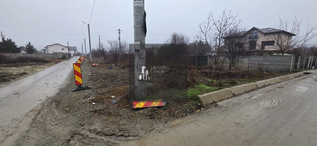 2 loturi 1000 mp Strada Pinului - 1 Decembrie