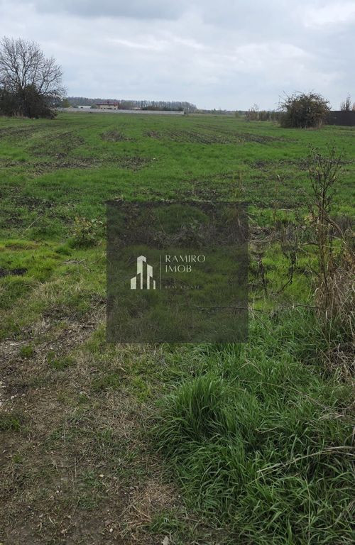 1 DECEMBRIE - TEREN 2500 MP