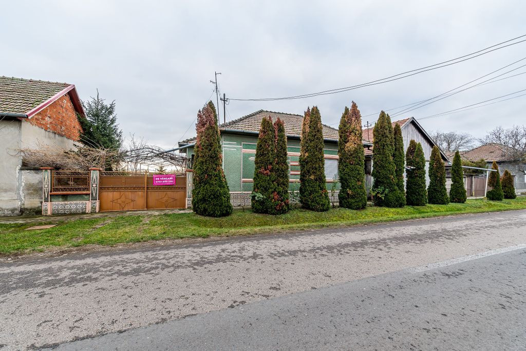 Casă cu livadă + curte 2500 mp în Dorobanți