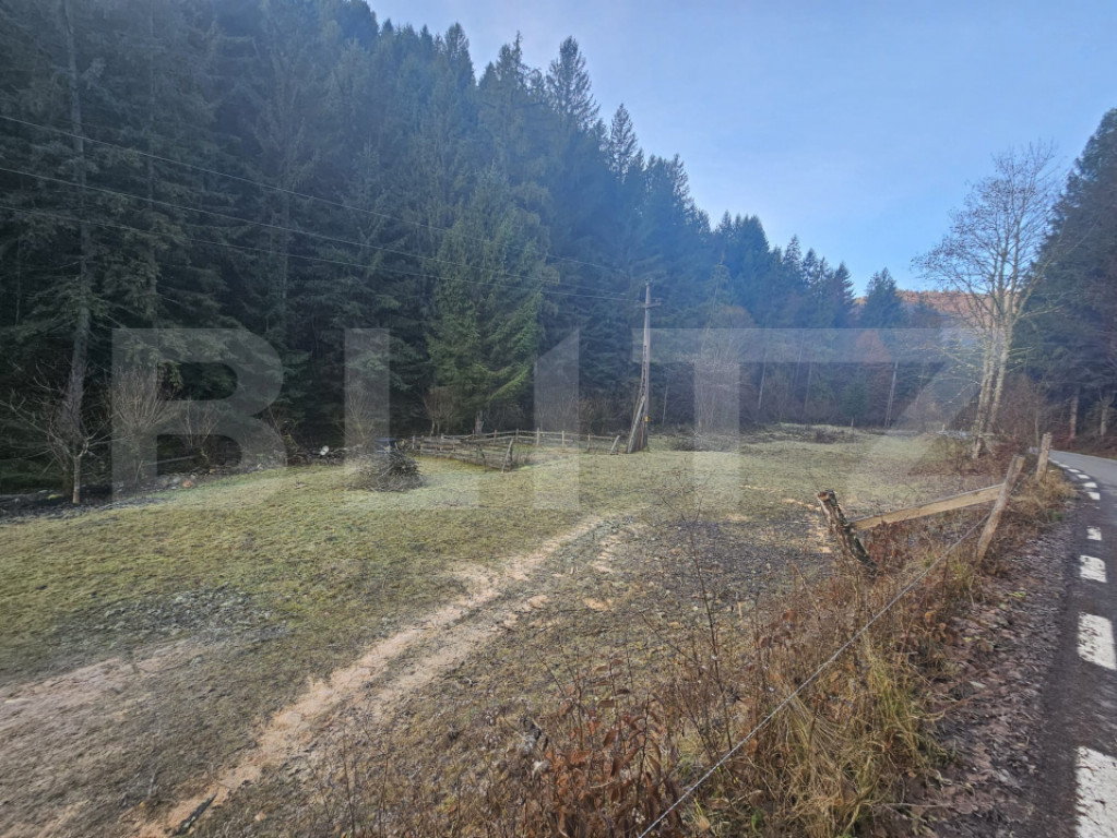 Teren Intravilan 10000 mp, Furduieşti, Câmpeni