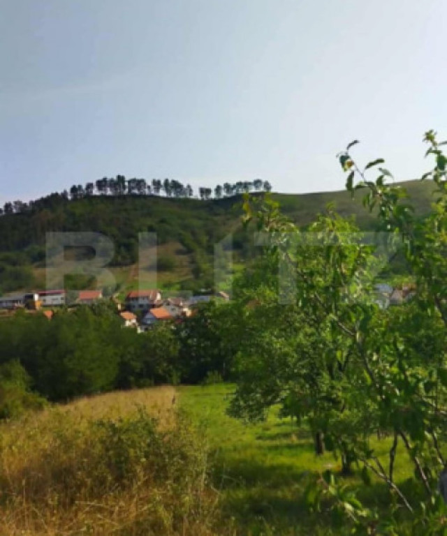 Teren extravilan 1100 mp, Paclisa, Alba iulia