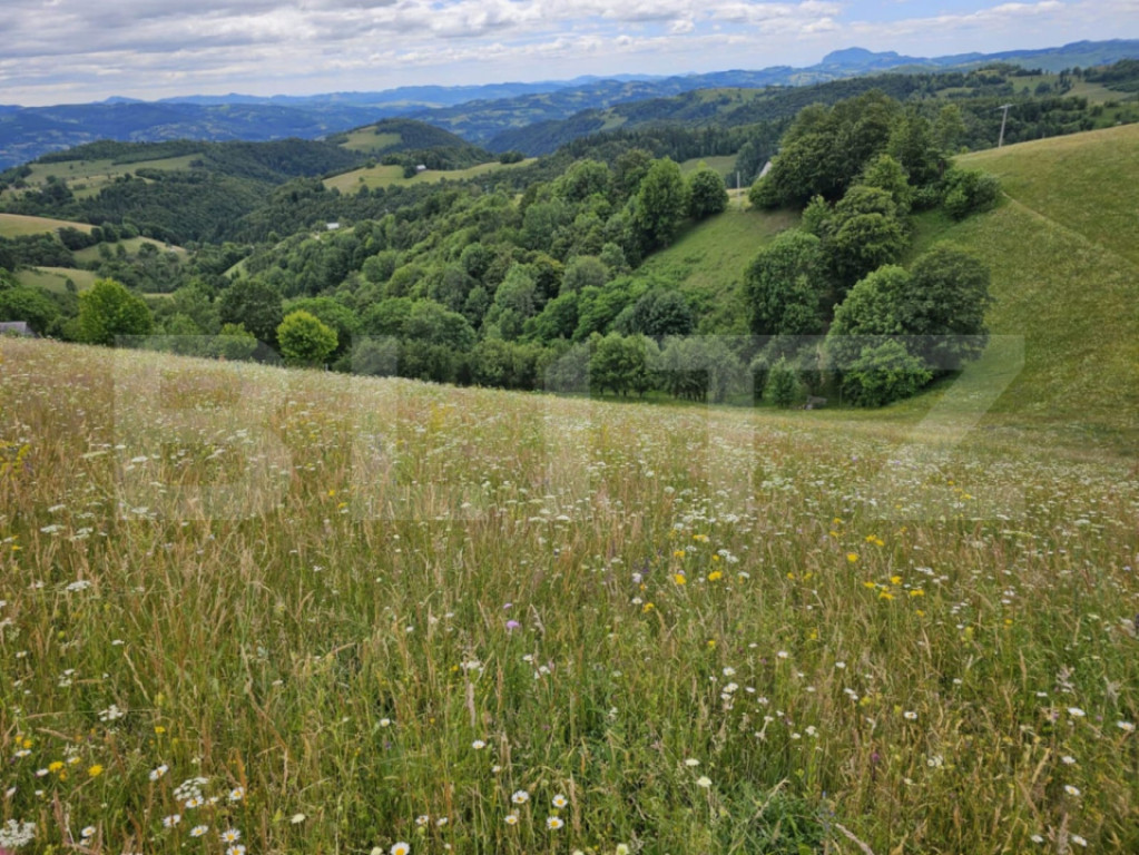 Teren extravilan de 14331 mp, zonă montană, Certege, Câmp