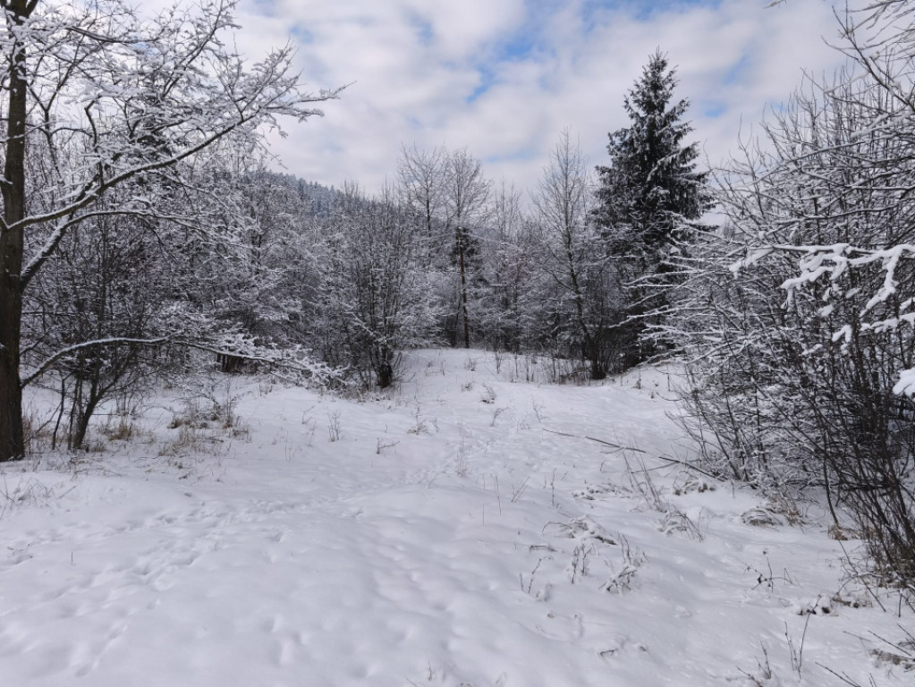 Teren intravilan, 22600mp, zona Manastirea Sucevita