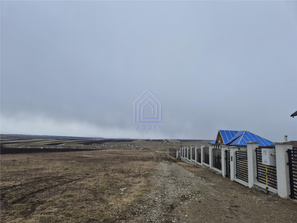 Teren Moara Nica 800 mp