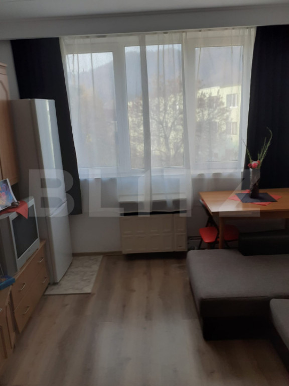 Garsoniera de vanzare, 22 mp, renovata, mobilata, zona Noua