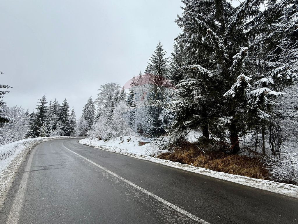 Teren 1,419mp Moroeni / DN 71