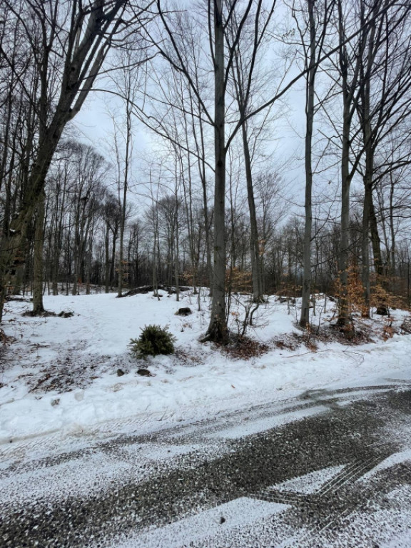 Teren deosebit 30 arii | Zonă montană exclusivistă | Apro