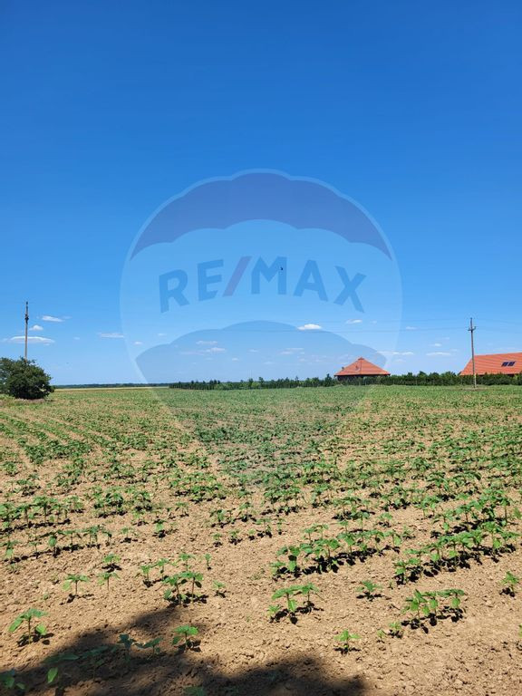 Teren intravilan 5,000 mp Peris IF