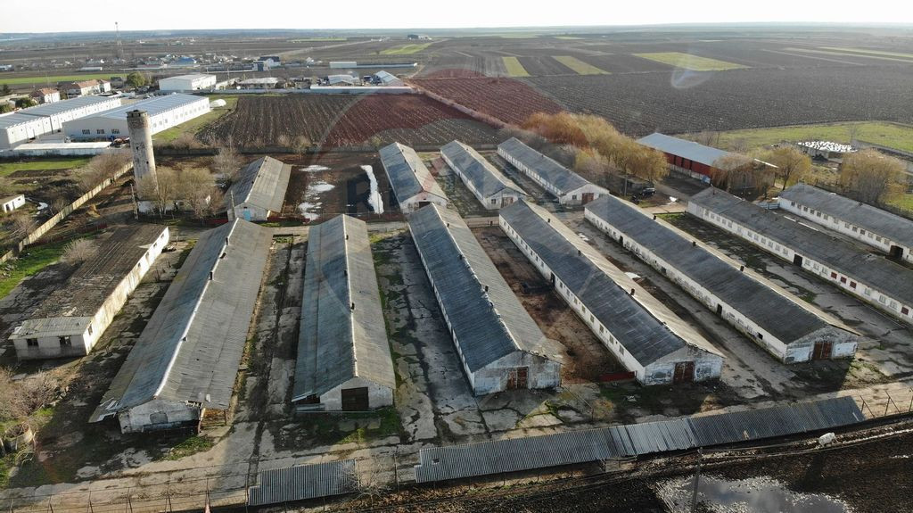 Hale 16 mii mp cu 9 ha teren intravilan