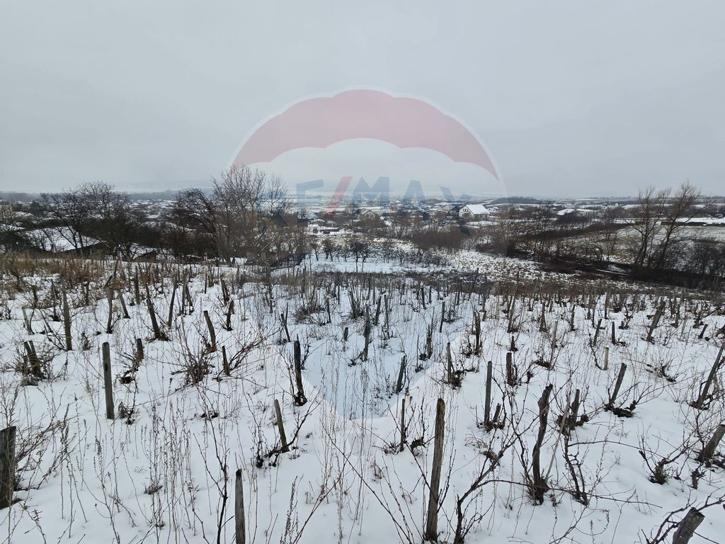 Teren intravilan 7000 mp Simnic, Izvor