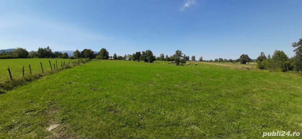 Teren 9350 mp Bran Livada, Extravilan