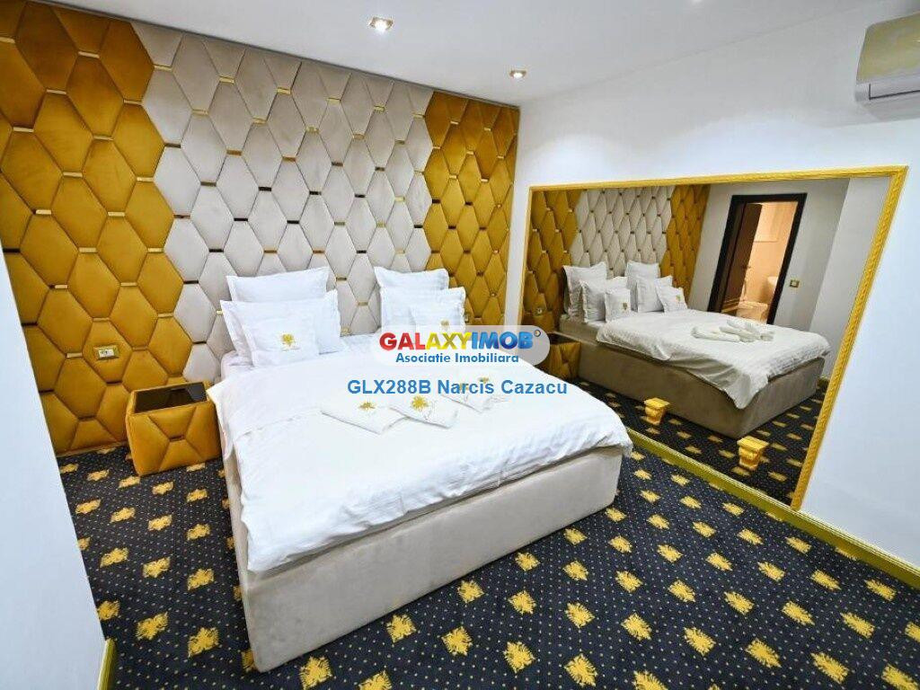 Baneasa Aerogarii Ocna Sibiului pensiune 8 camere