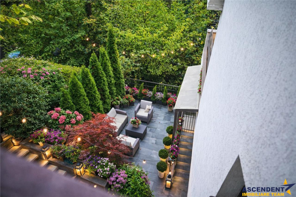 FILM3D! Resedinta notabila, in pretiosul areal:Drumul Poieni