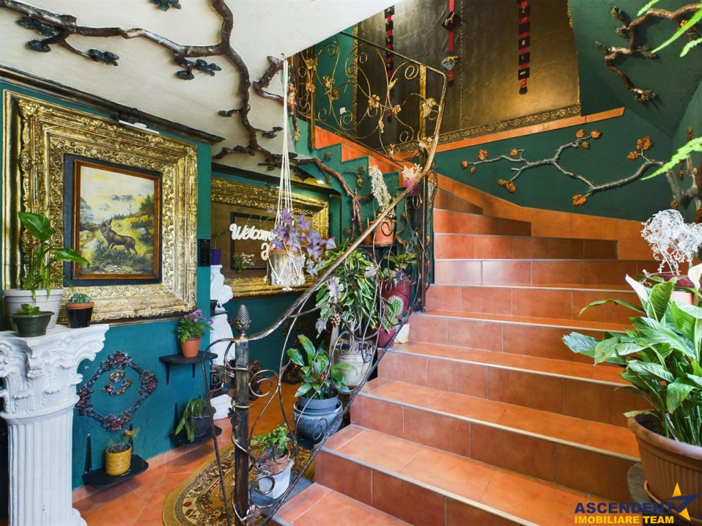 Resedinta impresionanta, vedere panoramica, Centru Istoric -