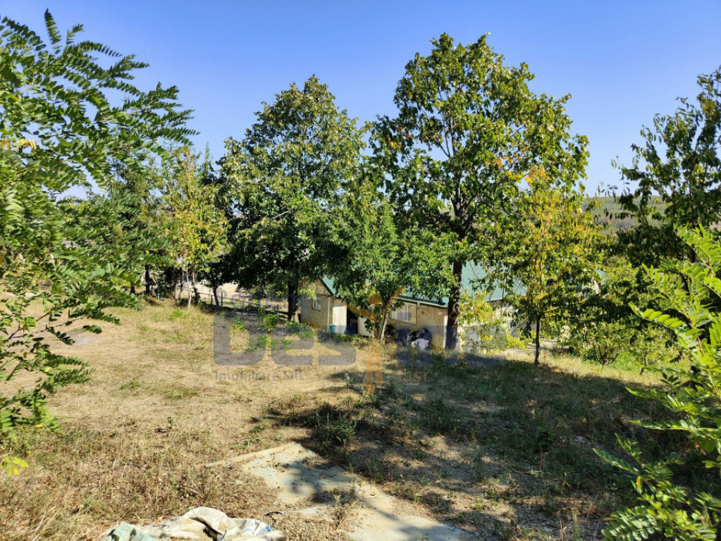 Casă lângă PĂDURE + anexe + 6400 mp TEREN intravilan - s