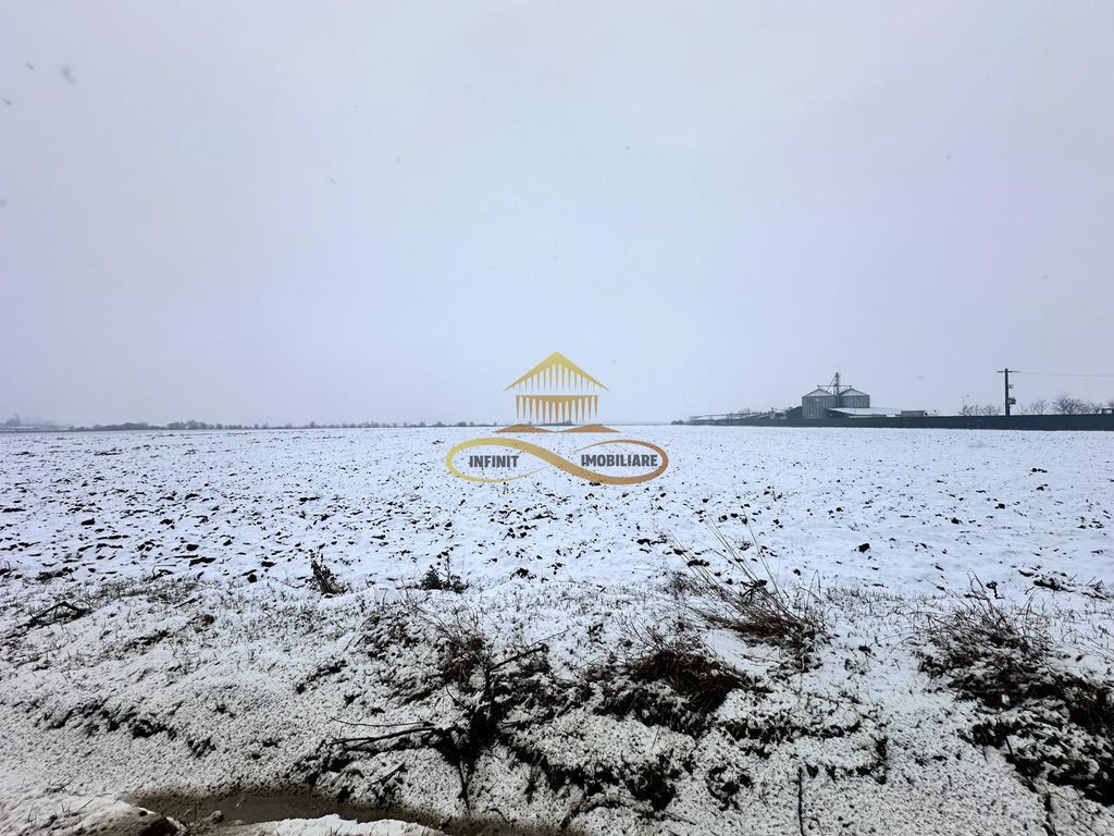 Teren de vanzare Schineni Saucesti