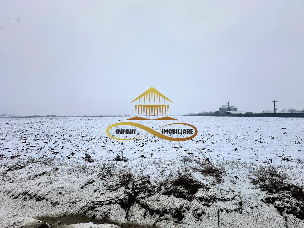 Teren de vanzare Schineni Saucesti