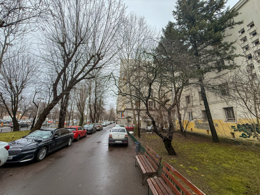 Basarabia, vedre mixta, Parc Gh. Petrascu si Parcul National