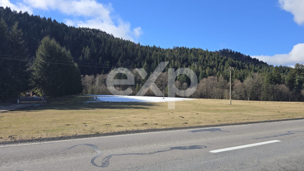 Teren intravilan în Bușteni, cu vedere spectaculoasă spre