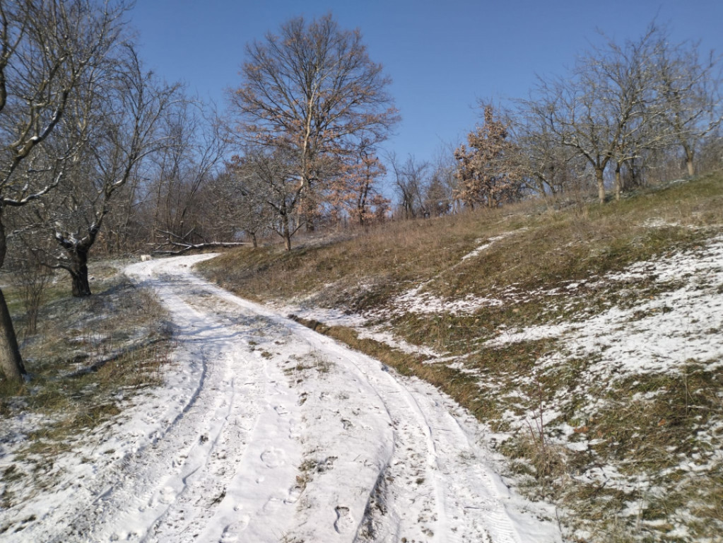 Moșia boierească din vârf de deal, Scorțeni - Prahova
