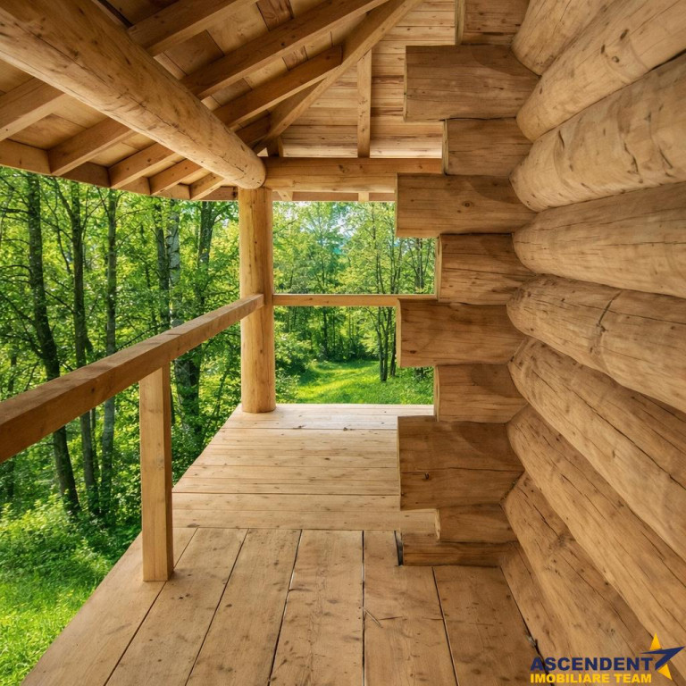 3.000mp de incantare montana cu cabana din lemn masiv, Zarne