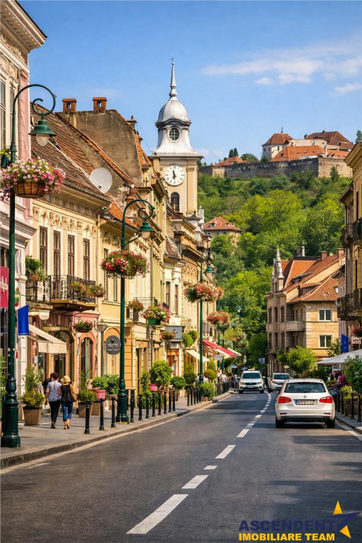 Preluare afacere pensiune administrare in regim turistic, Ce