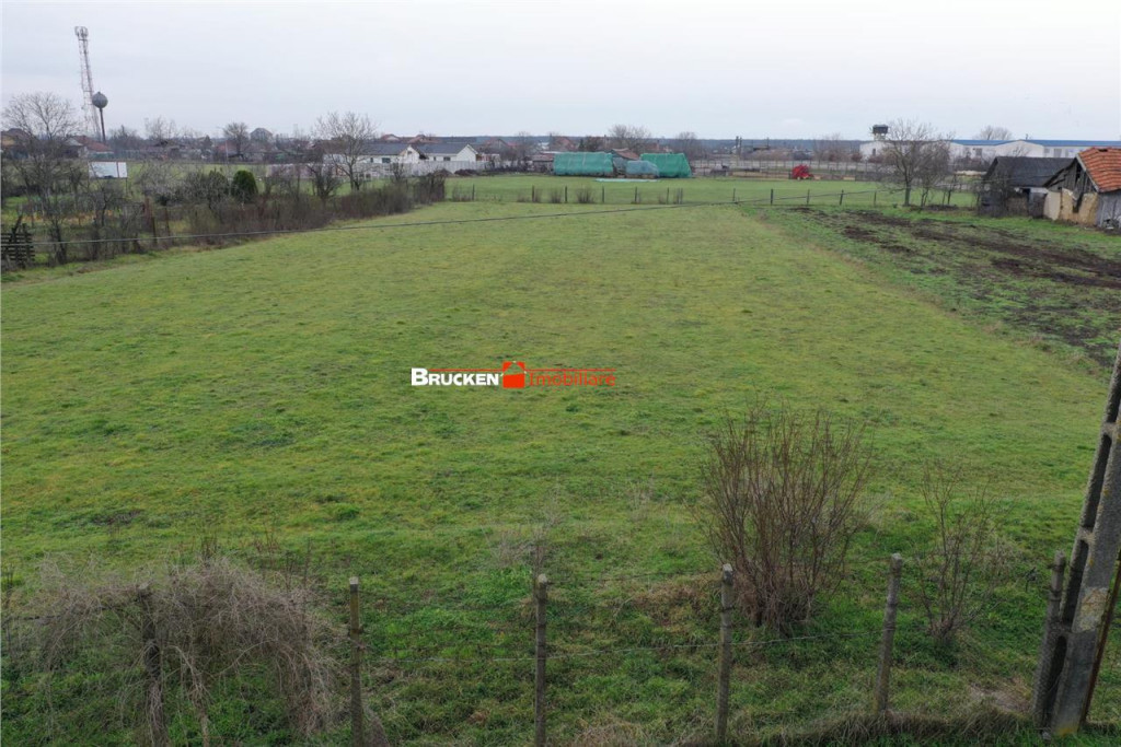 Teren intravilan de 2.623 mp in Les – la 20 min de Oradea