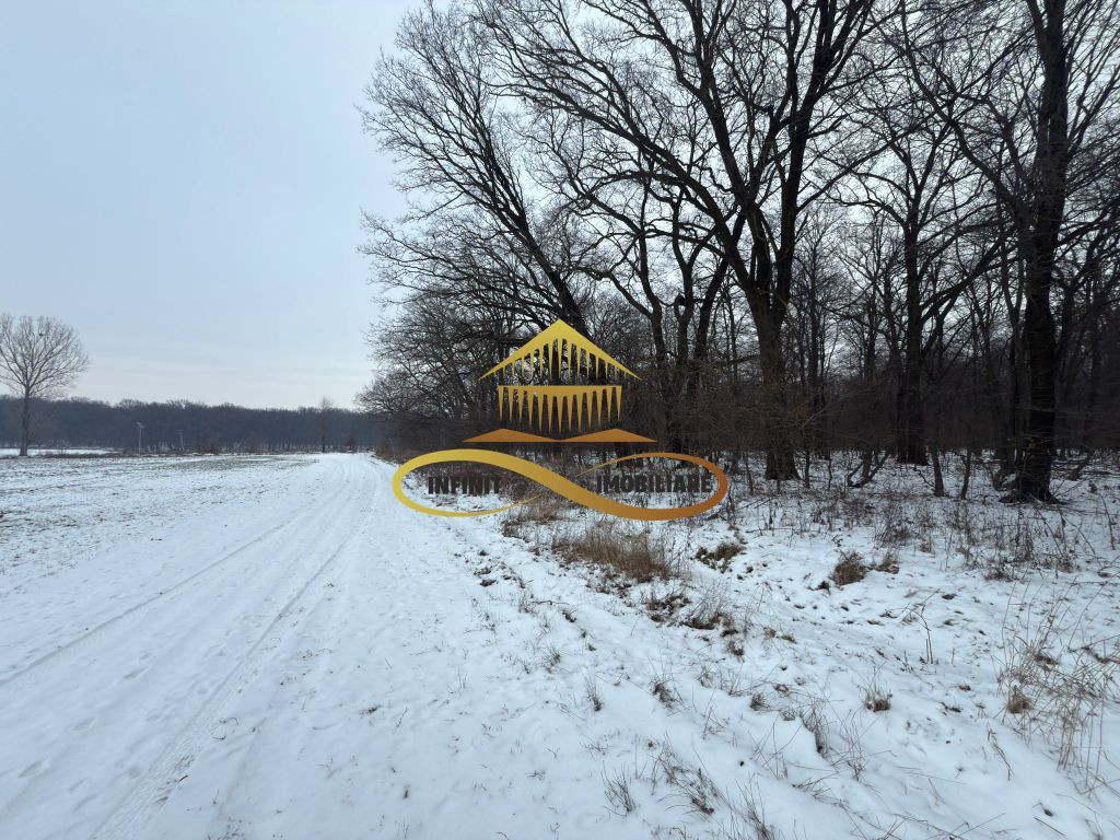 Teren extravilan - Padure de vanzare in Beresti Bistrita