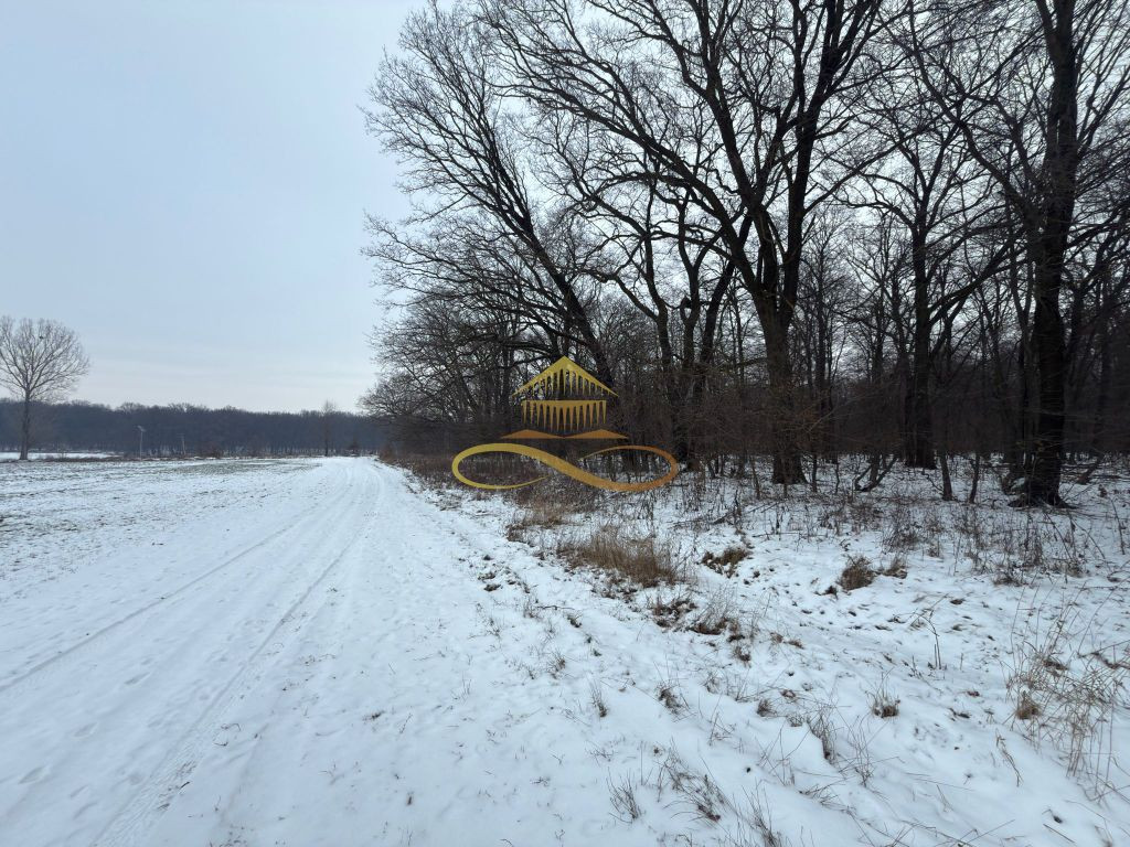 Teren extravilan - Padure de vanzare in Beresti Bistrita