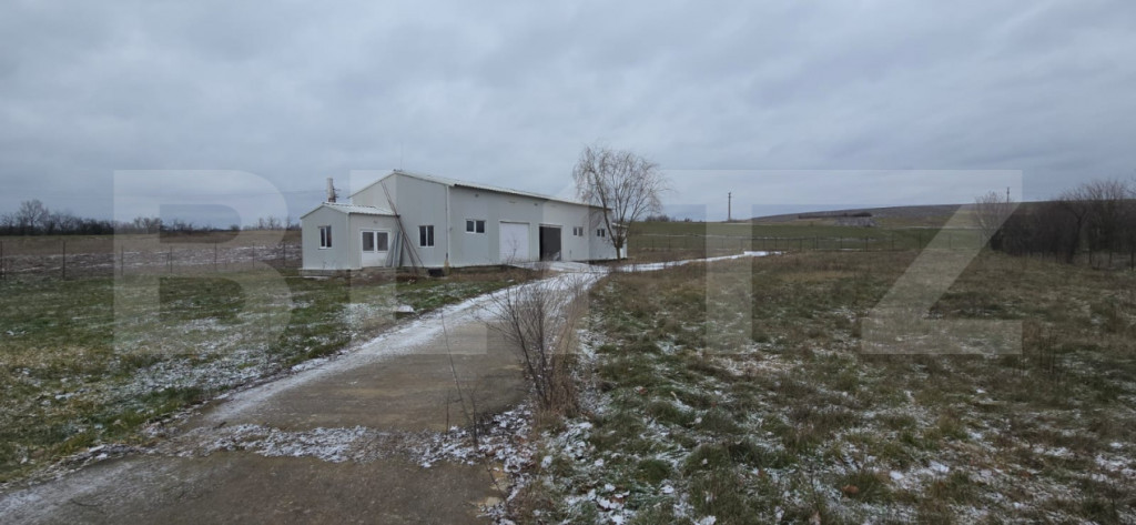 Hala industriala/comerciala, 190 mp, teren 2460 mp, Vulpeni