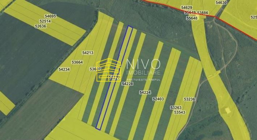 Teren extravilan – Sg. de Mureș