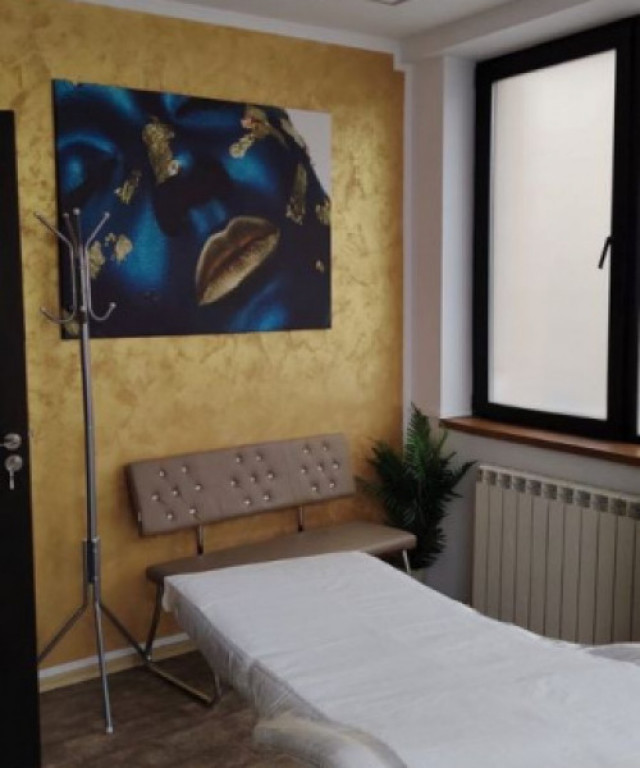 Piata Victoriei -Vila de inchiriat- activitati medicale