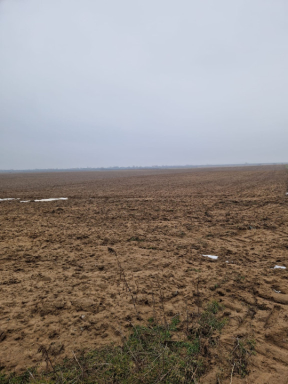 Teren de vânzare 2.500 mp – Malu Mare