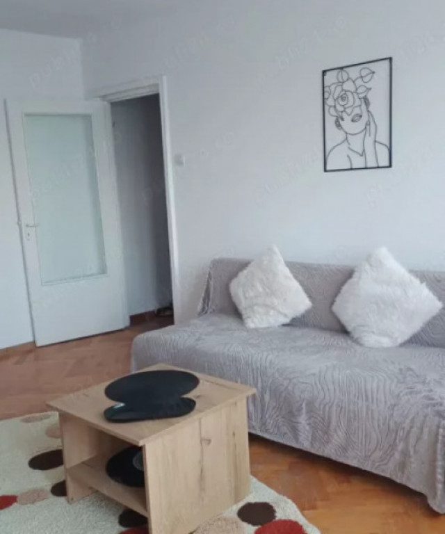 Apartament 2 camere | zona Casa de Cultură | Pet friendly |