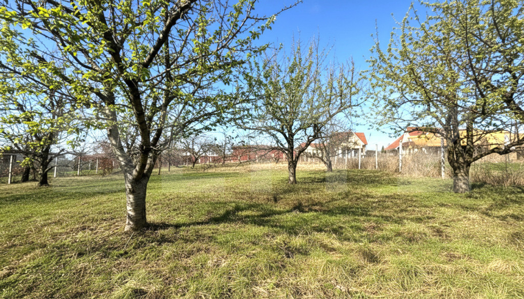 Teren cu dubla-deschidere, Paleu, 1000mp