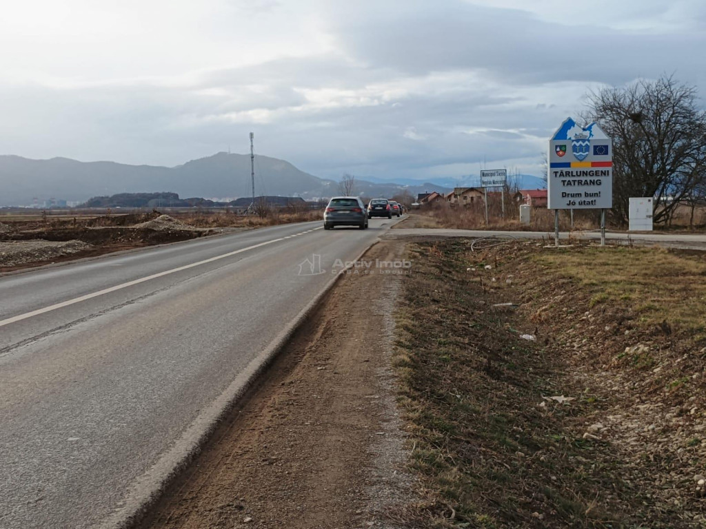 Teren 9000 mp Sacele Izvor, front 356 m la DJ 103A