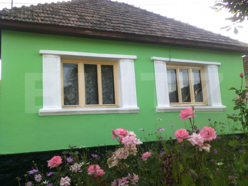 Casă batraneasca cu teren 12 ari – zonă centrală, Năs?