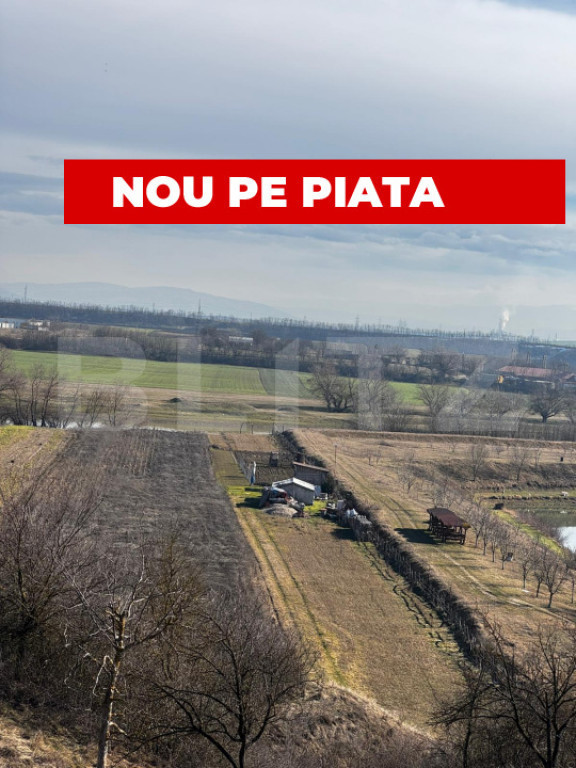 Teren extravilan 3100 mp cu ieșire la râul Mureș
