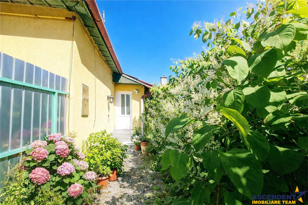 Spatiu pretabil activitati - birouri ateliere copii etc. acc