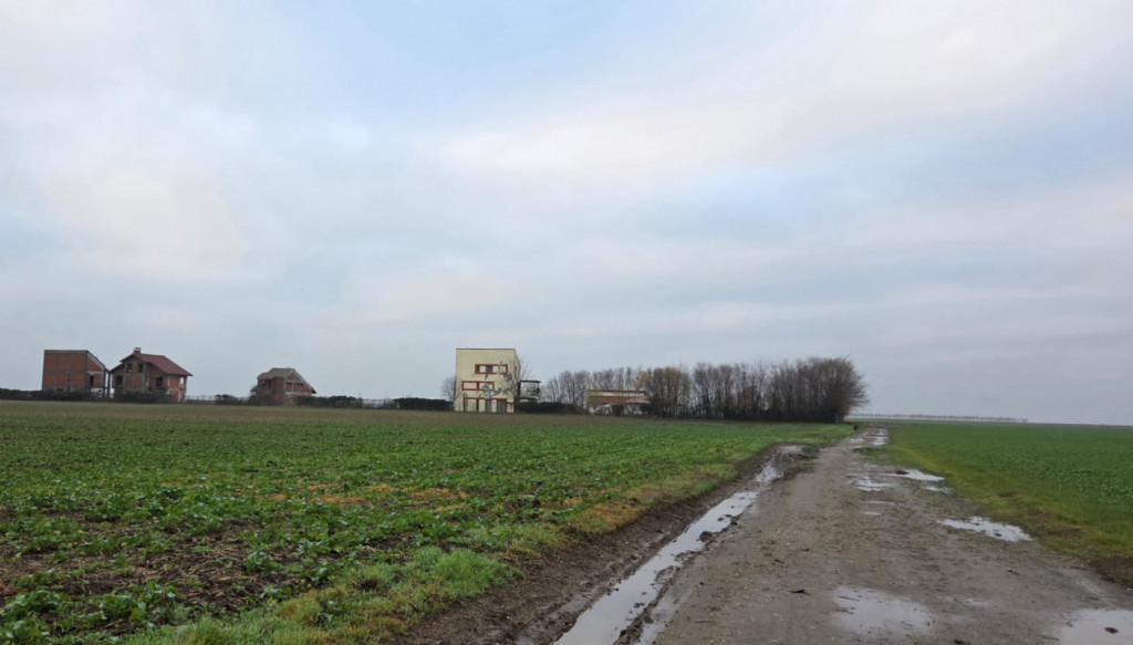 Frumusani-Pasarea '70 loturi cu drum într-o zona in dezvolt