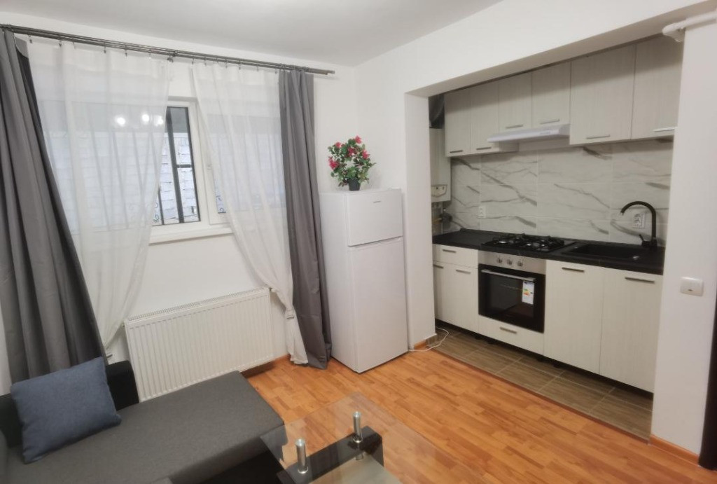 Dimitrie leonida studio demisol