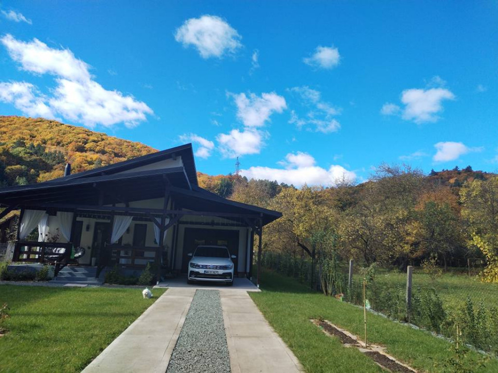 Cabană de vânzare – zona Groapele Chiuzbăii