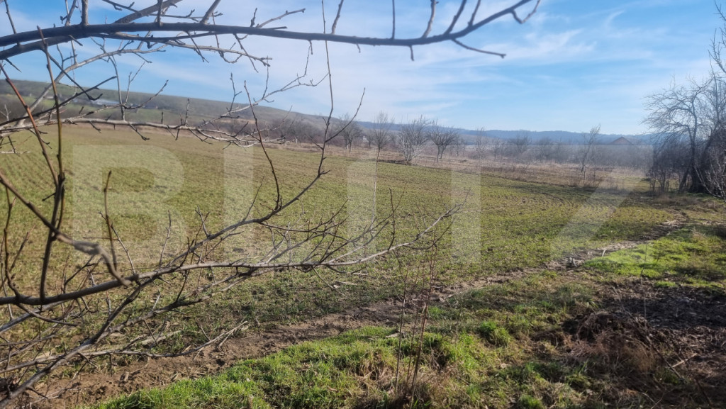 TEREN EXTRAVILAN AGRICOL