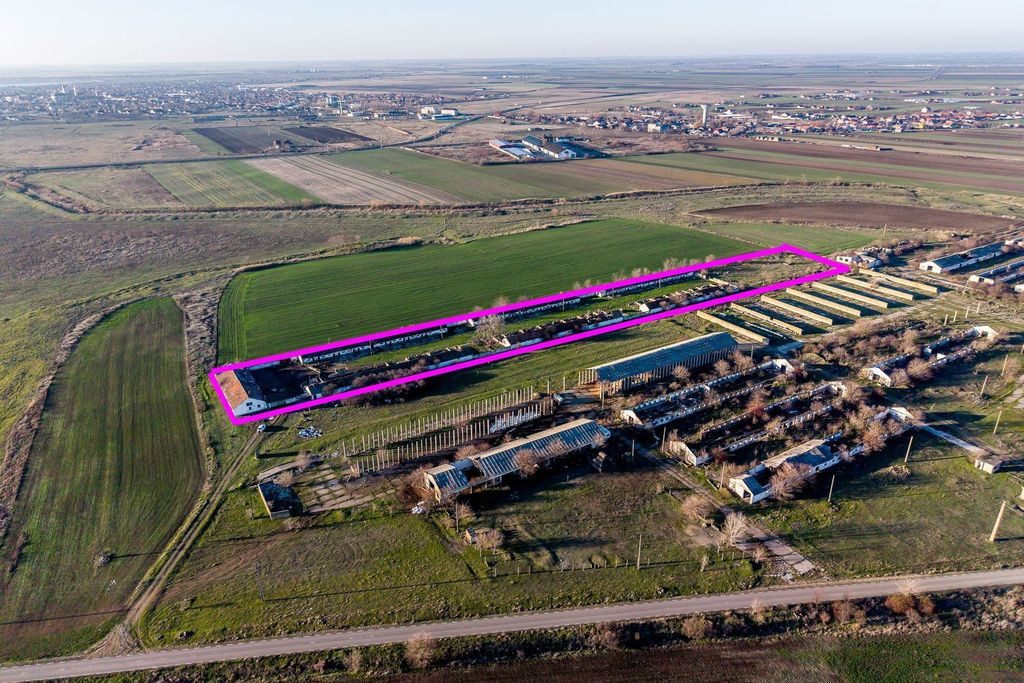 NĂDLAC | Teren 1.15 HA lângă Autostradă | 2.500mp Hale
