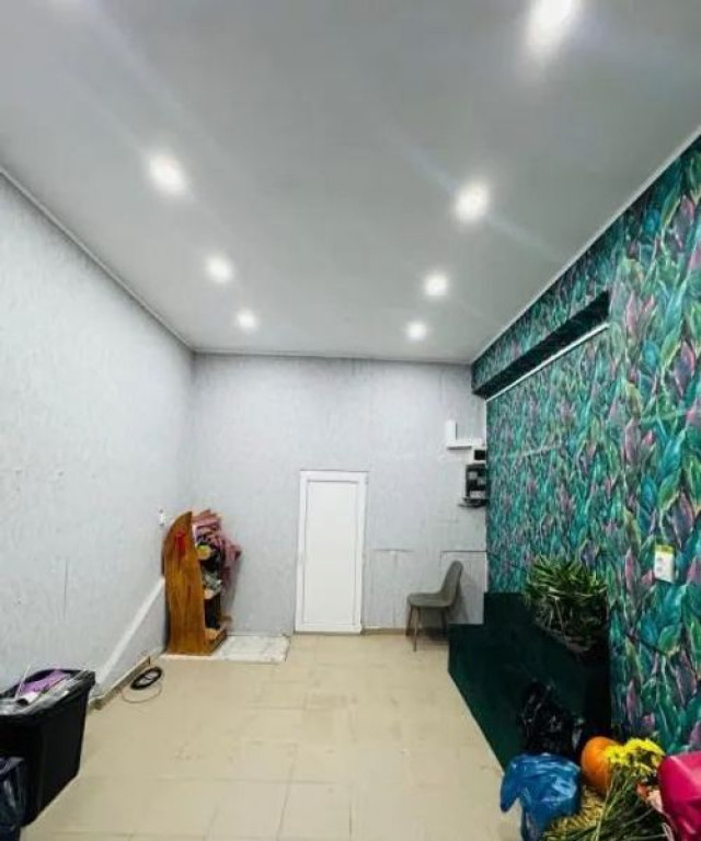 Spatiu stradal Iancului