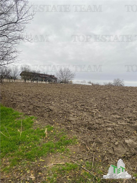 Teren 12223 mp in Prahova