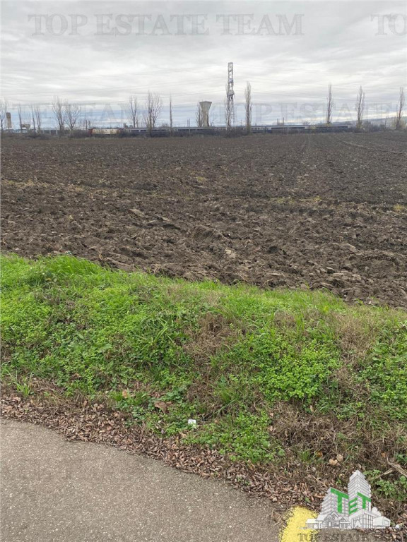 Teren Extravilan 10.000 mp in Prahova