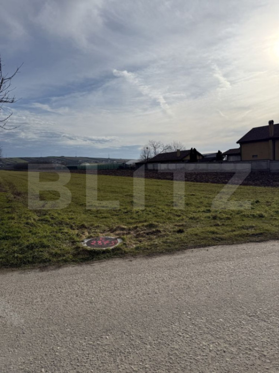 Teren intravilan, 1500 mp, zona Albesti