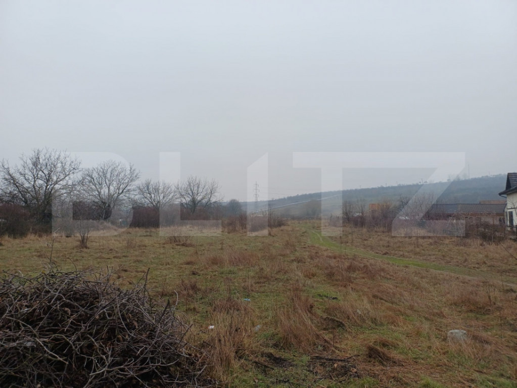 TEREN INTRAVILAN - CENTURA MERILOR