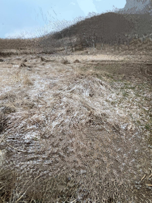 Teren intravilan pentru construcție de casă în Dezmir!